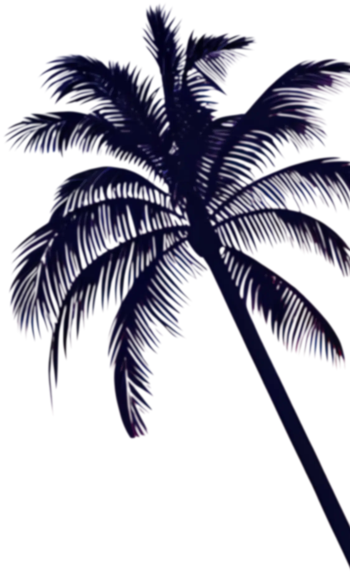 Palmier